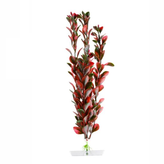 JK műnövény Red Ludwigia 25-28 cm