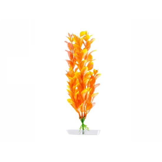 JK Műnövény Orange Ludwigia 18-21 cm