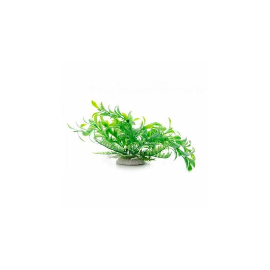 Jk Műnövény Ludwigia talpas zöld 14-17 cm